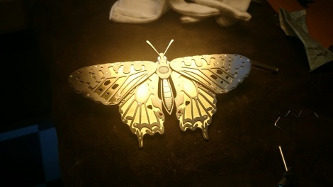 Ginger Bottari, Butterfly WIP